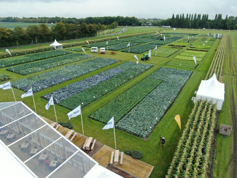 Fields of Innovation 2025, Sygenta verso l’agricoltura del domani