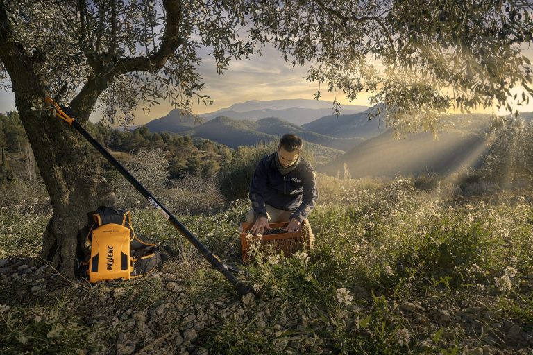 Raccolta olive, le iniziative rivolte agli olivicoltori messe in campo da Pellenc