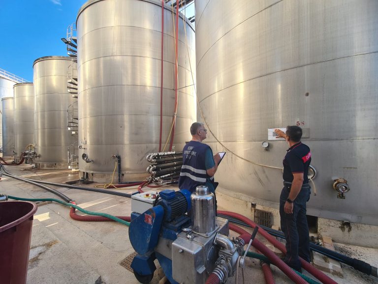 Vino. Sequestrati 1.500 quintali di falso ‘Primitivo IGP’ (valore 1,5 mln euro). Lollobrigida: campagna controlli conferma efficacia sistema